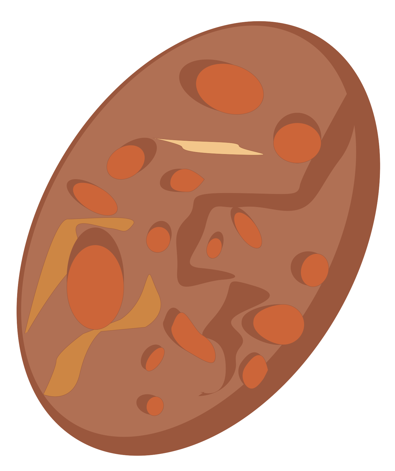 PLANET BOMBEC